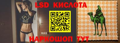 Альфа ПВП Краснознаменск