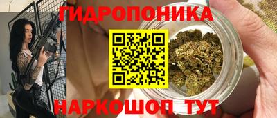 Альфа ПВП Краснознаменск